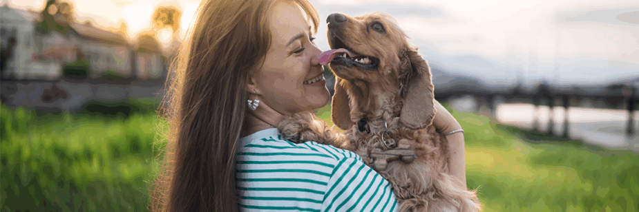 Beijar cachorro faz mal? Entenda os riscos para a saúde da sua boca